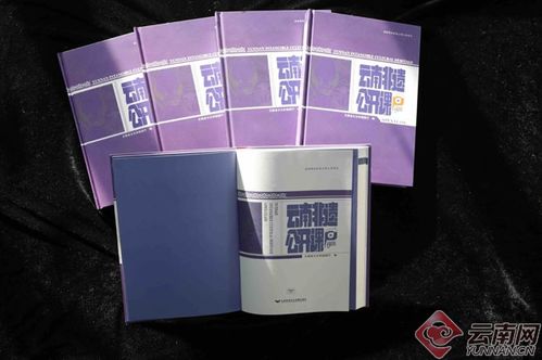 古韻新傳 云南非遺公開課音像制品全國(guó)發(fā)行